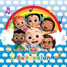 Load image into Gallery viewer, Character Learning Pillow- 2 sided