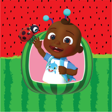 Load image into Gallery viewer, Character Learning Pillow- 2 sided