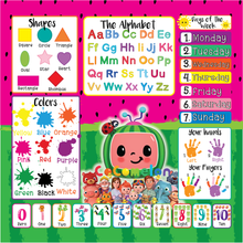 Load image into Gallery viewer, Character Learning Pillow- 2 sided