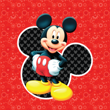 Load image into Gallery viewer, Character Learning Pillow- 2 sided